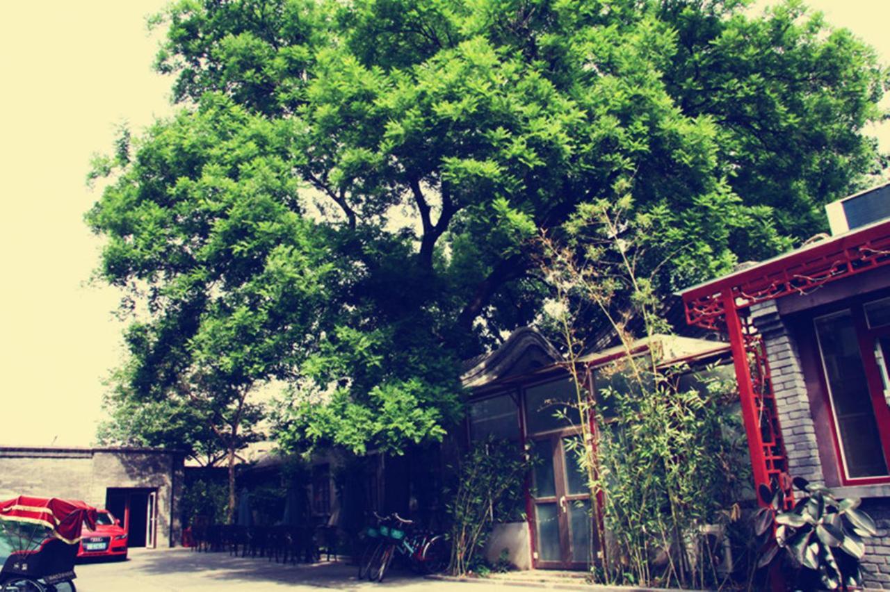 Hotel 66 Peking Exterior foto